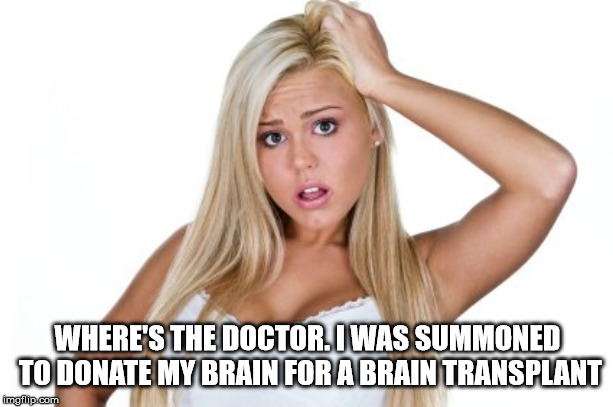 Dumb Blonde | WHERE'S THE DOCTOR. I WAS SUMMONED TO DONATE MY BRAIN FOR A BRAIN TRANSPLANT | image tagged in dumb blonde | made w/ Imgflip meme maker