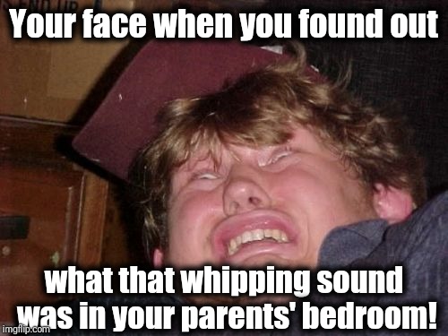 Eww! Yuck! That scene is gonna be stuck with me forever! | Your face when you found out; what that whipping sound was in your parents' bedroom! | image tagged in memes,parents,whip,omg | made w/ Imgflip meme maker