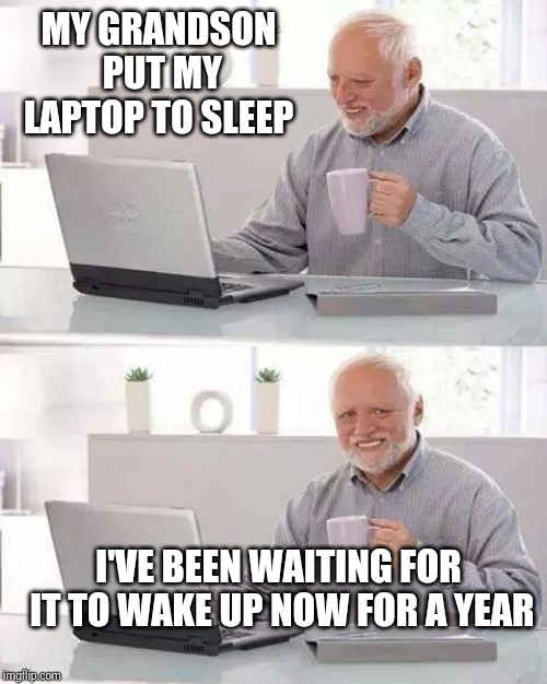 Hide the Pain Harold Meme | MY GRANDSON PUT MY LAPTOP TO SLEEP; I'VE BEEN WAITING FOR IT TO WAKE UP NOW FOR A YEAR | image tagged in memes,hide the pain harold | made w/ Imgflip meme maker