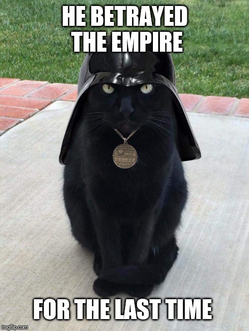 Darth vader cat | HE BETRAYED THE EMPIRE FOR THE LAST TIME | image tagged in darth vader cat | made w/ Imgflip meme maker