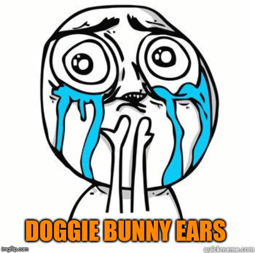 Crying Face | DOGGIE BUNNY EARS | image tagged in crying face | made w/ Imgflip meme maker