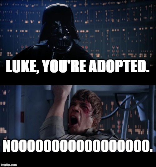 Star Wars No Meme | LUKE, YOU'RE ADOPTED. NOOOOOOOOOOOOOOOOO. | image tagged in memes,star wars no | made w/ Imgflip meme maker
