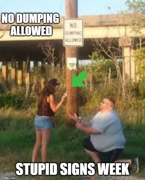 NO
DUMPING ALLOWED; STUPID SIGNS WEEK | image tagged in stupid signs week | made w/ Imgflip meme maker