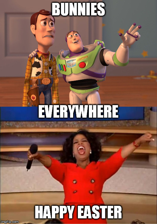 BUNNIES HAPPY EASTER EVERYWHERE | image tagged in memes,oprah you get a,x x everywhere | made w/ Imgflip meme maker