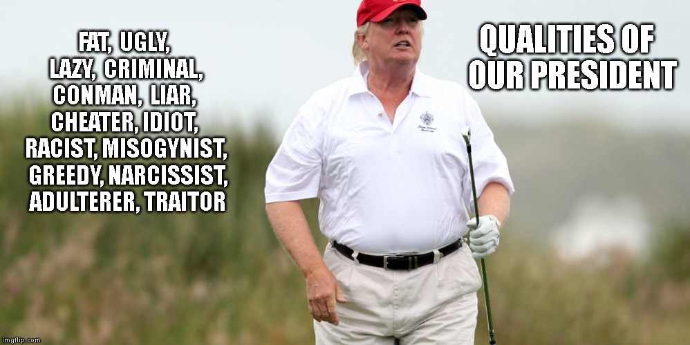We Can Do Much Better Than This! | QUALITIES OF  OUR PRESIDENT; FAT,  UGLY, LAZY,  CRIMINAL, CONMAN,  LIAR,  CHEATER, IDIOT,  RACIST, MISOGYNIST,  GREEDY, NARCISSIST,  ADULTERER, TRAITOR | image tagged in impeach trump,sanders 2020,anyone except trump | made w/ Imgflip meme maker