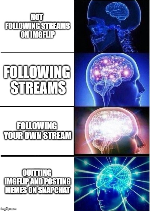 This is a lie. FOLLOW MAH STREEAM!!! | NOT FOLLOWING STREAMS ON IMGFLIP; FOLLOWING STREAMS; FOLLOWING YOUR OWN STREAM; QUITTING IMGFLIP AND POSTING MEMES ON SNAPCHAT | image tagged in memes,expanding brain | made w/ Imgflip meme maker