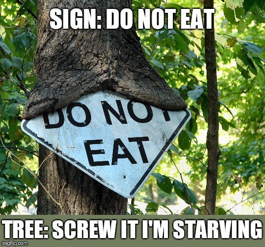 Stupid Signs Week, April 17-23, A LordCheesus and DaBoiIsMeAvery event! |  SIGN: DO NOT EAT; TREE: SCREW IT I'M STARVING | image tagged in stupid signs week,lordcheesus,daboilsmeavery | made w/ Imgflip meme maker