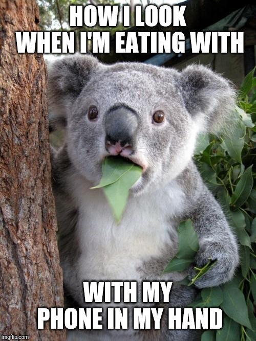 Surprised Koala Meme | HOW I LOOK WHEN I'M EATING WITH; WITH MY PHONE IN MY HAND | image tagged in memes,surprised koala | made w/ Imgflip meme maker