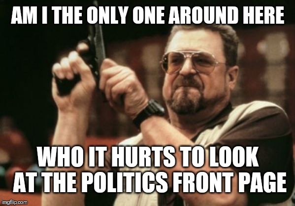 I'm pretty conservative but it's such toxic garbage, the same propoganda over an over. There is no real discussion. | AM I THE ONLY ONE AROUND HERE; WHO IT HURTS TO LOOK AT THE POLITICS FRONT PAGE | image tagged in memes,am i the only one around here | made w/ Imgflip meme maker