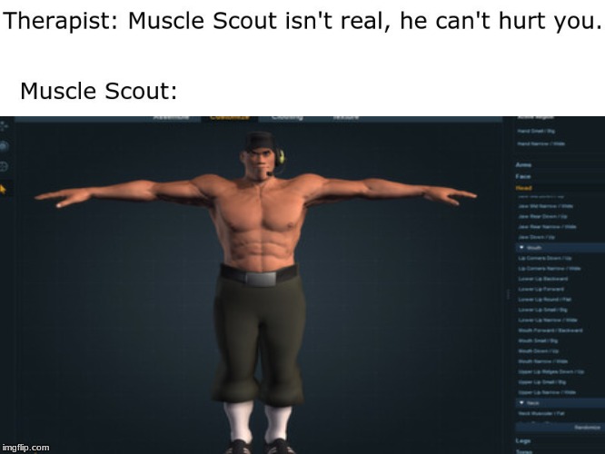 The software is called Fuse. | image tagged in memes,tf2 scout,video games | made w/ Imgflip meme maker