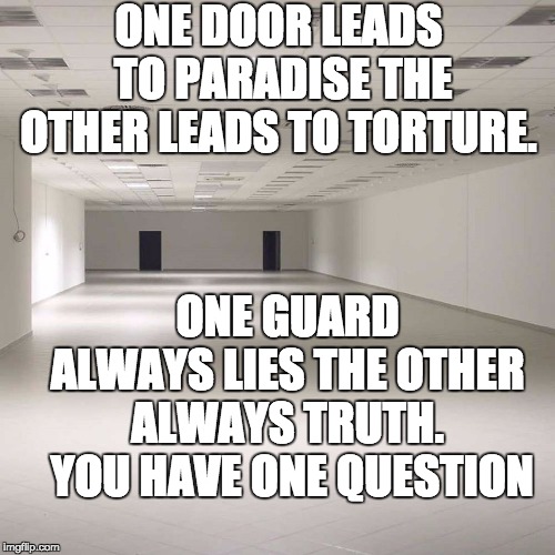 empty room | ONE DOOR LEADS TO PARADISE THE OTHER LEADS TO TORTURE. ONE GUARD ALWAYS LIES THE OTHER ALWAYS TRUTH. 

YOU HAVE ONE QUESTION | image tagged in empty room | made w/ Imgflip meme maker