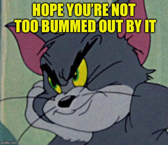 Annoyed Tom | HOPE YOU’RE NOT TOO BUMMED OUT BY IT | image tagged in annoyed tom | made w/ Imgflip meme maker