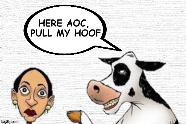 AOC falls for the Pull My Finger trick | HERE AOC, PULL MY HOOF | image tagged in alexandria ocasio-cortez,memes,cow,farts,climate change,pull my finger | made w/ Imgflip meme maker