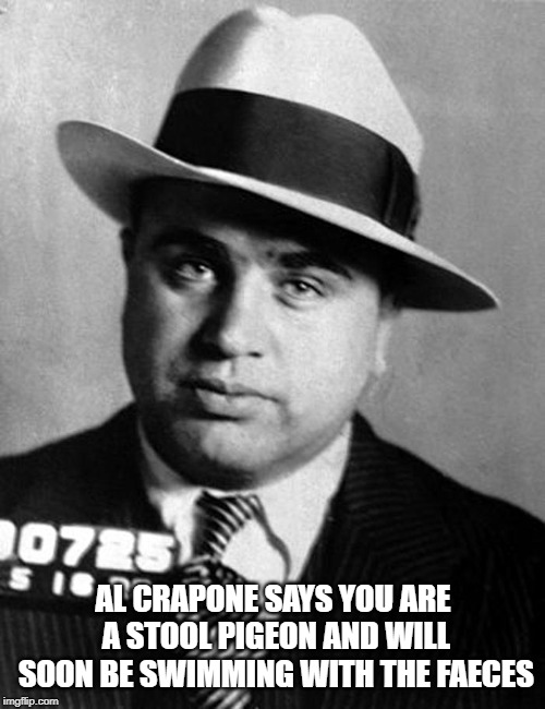 Al Capone | AL CRAPONE SAYS YOU ARE A STOOL PIGEON AND WILL SOON BE SWIMMING WITH THE FAECES | image tagged in al capone | made w/ Imgflip meme maker