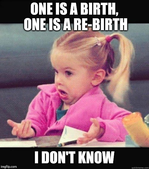 I dont know girl | ONE IS A BIRTH, ONE IS A RE-BIRTH I DON'T KNOW | image tagged in i dont know girl | made w/ Imgflip meme maker