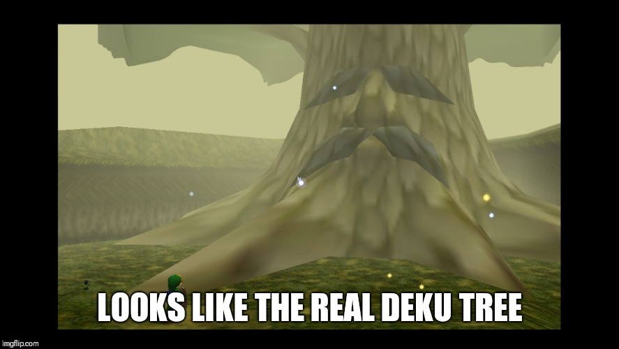 Great Deku Tree | LOOKS LIKE THE REAL DEKU TREE | image tagged in great deku tree | made w/ Imgflip meme maker