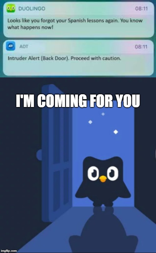 I'M COMING FOR YOU | image tagged in duolingo bird | made w/ Imgflip meme maker