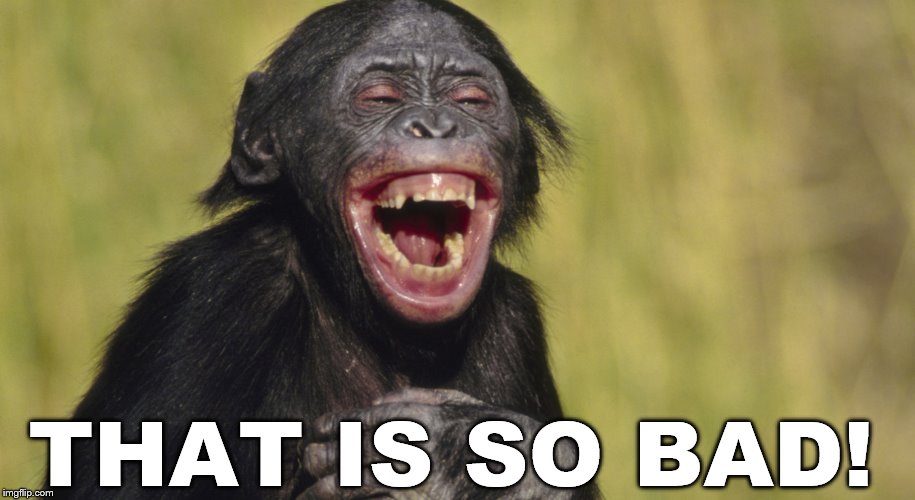 laughing monkey,memes | THAT IS SO BAD! | image tagged in laughing monkey memes | made w/ Imgflip meme maker