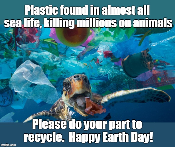 Life with plastic is not fantastic | Plastic found in almost all sea life, killing millions on animals; Please do your part to recycle. 
Happy Earth Day! | image tagged in turtle eating plastic,sealife killed by plastic,turtles found with plastic in guts,birds whale dolpins eat plastic,learn how to  | made w/ Imgflip meme maker