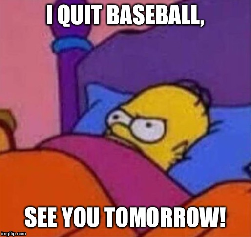 angry homer simpson in bed | I QUIT BASEBALL, SEE YOU TOMORROW! | image tagged in angry homer simpson in bed | made w/ Imgflip meme maker