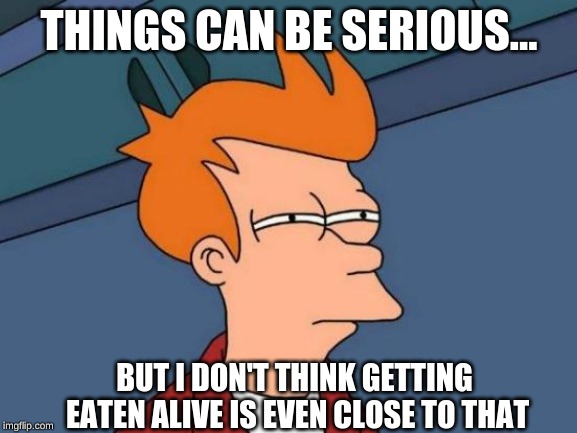 Futurama Fry | THINGS CAN BE SERIOUS... BUT I DON'T THINK GETTING EATEN ALIVE IS EVEN CLOSE TO THAT | image tagged in memes,futurama fry | made w/ Imgflip meme maker