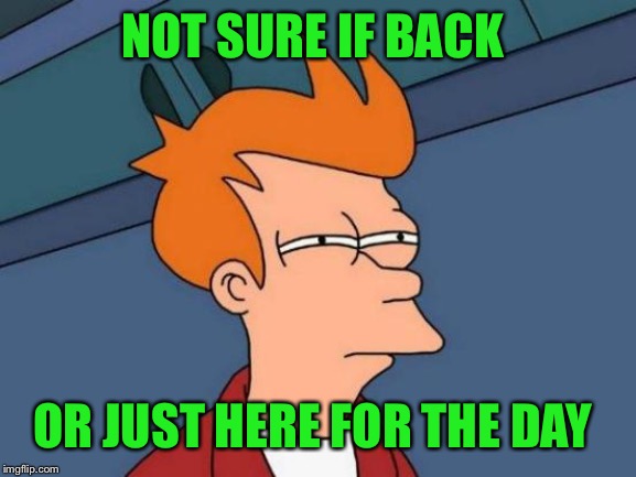 Futurama Fry Meme | NOT SURE IF BACK OR JUST HERE FOR THE DAY | image tagged in memes,futurama fry | made w/ Imgflip meme maker