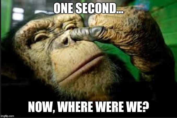 ONE SECOND... NOW, WHERE WERE WE? | image tagged in funny animals,awesome | made w/ Imgflip meme maker