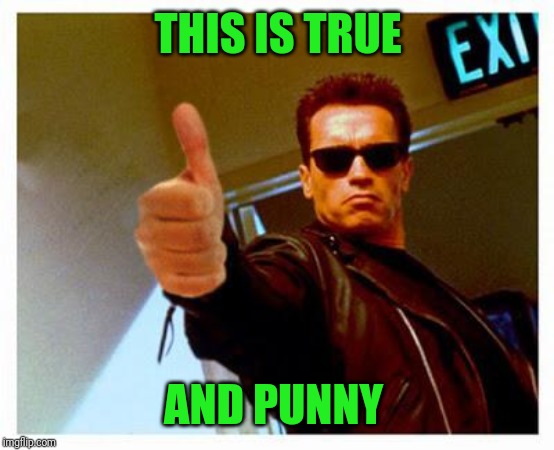 terminator thumbs up | THIS IS TRUE AND PUNNY | image tagged in terminator thumbs up | made w/ Imgflip meme maker