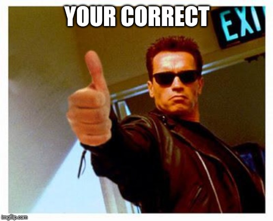 terminator thumbs up | YOUR CORRECT | image tagged in terminator thumbs up | made w/ Imgflip meme maker