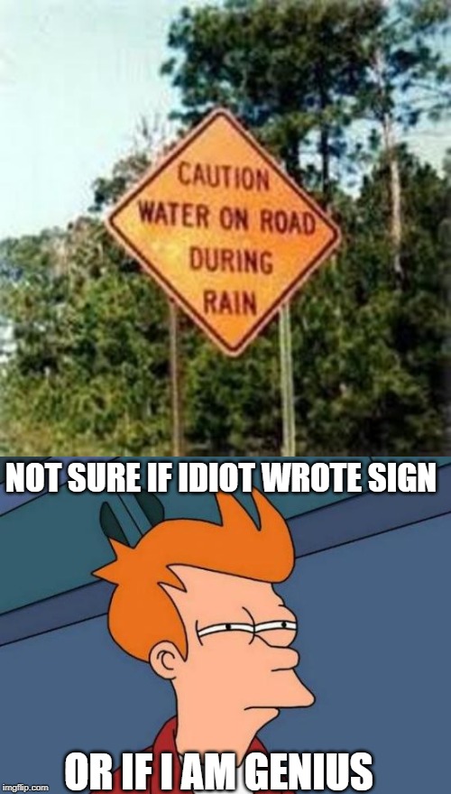 NOT SURE IF IDIOT WROTE SIGN; OR IF I AM GENIUS | image tagged in memes,futurama fry | made w/ Imgflip meme maker