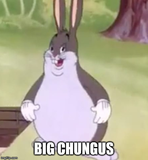 Big Chungus | BIG CHUNGUS | image tagged in big chungus | made w/ Imgflip meme maker