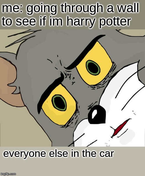 Unsettled Tom Meme |  me: going through a wall to see if im harry potter; everyone else in the car | image tagged in memes,unsettled tom | made w/ Imgflip meme maker