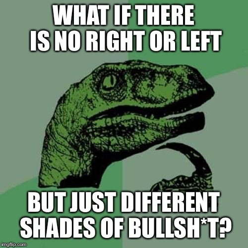 Philosoraptor Meme | WHAT IF THERE IS NO RIGHT OR LEFT; BUT JUST DIFFERENT SHADES OF BULLSH*T? | image tagged in memes,philosoraptor | made w/ Imgflip meme maker