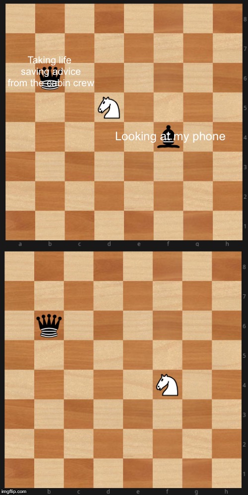 We all do it | Taking life saving advice from the cabin crew; Looking at my phone | image tagged in chess knight takes bishop,chess,plane,airplane,advice,choice | made w/ Imgflip meme maker
