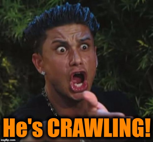 for crying out loud | He's CRAWLING! | image tagged in for crying out loud | made w/ Imgflip meme maker
