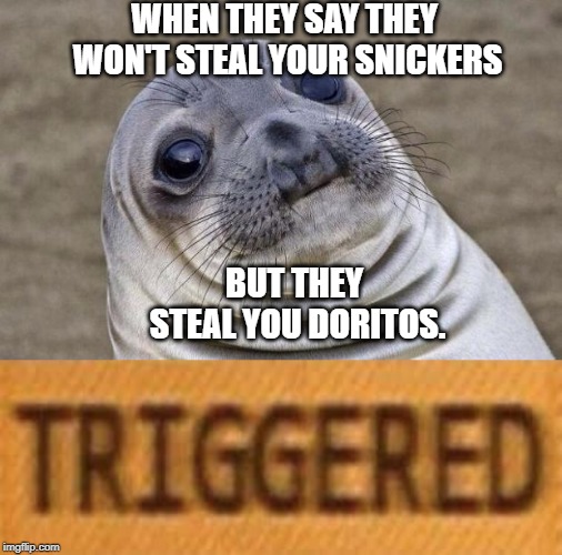 WHEN THEY SAY THEY WON'T STEAL YOUR SNICKERS; BUT THEY STEAL YOU DORITOS. | image tagged in memes,awkward moment sealion | made w/ Imgflip meme maker