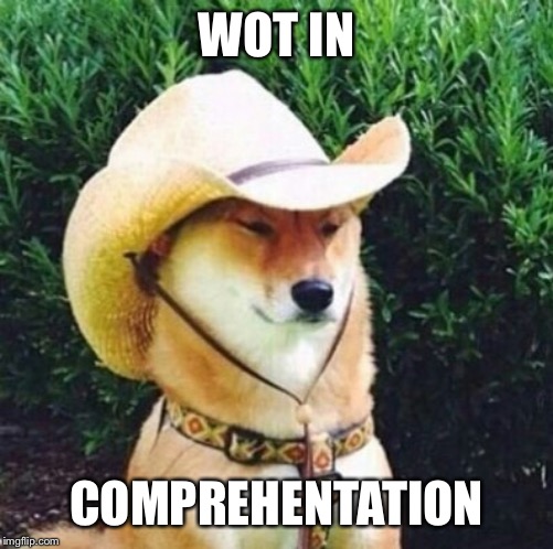 Wot in Tarnation Dog | WOT IN; COMPREHENTATION | image tagged in wot in tarnation dog | made w/ Imgflip meme maker