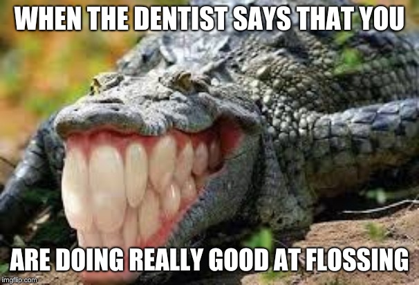 colgator | WHEN THE DENTIST SAYS THAT YOU; ARE DOING REALLY GOOD AT FLOSSING | image tagged in reddit | made w/ Imgflip meme maker