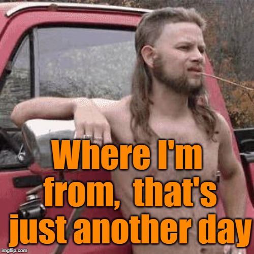 almost redneck | Where I'm from,  that's just another day | image tagged in almost redneck | made w/ Imgflip meme maker