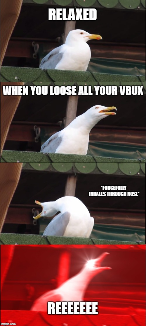 Inhaling Seagull | RELAXED; WHEN YOU LOOSE ALL YOUR VBUX; *FORCEFULLY INHALES THROUGH NOSE*; REEEEEEE | image tagged in memes,inhaling seagull | made w/ Imgflip meme maker