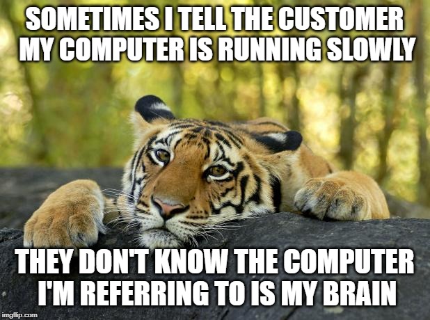 What do you get when you cross ADD with a Call Center job? |  SOMETIMES I TELL THE CUSTOMER MY COMPUTER IS RUNNING SLOWLY; THEY DON'T KNOW THE COMPUTER I'M REFERRING TO IS MY BRAIN | image tagged in confession tiger,call center rep,computers,scumbag brain | made w/ Imgflip meme maker