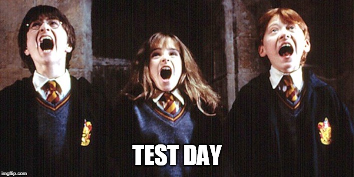 TEST DAY | image tagged in harry potter | made w/ Imgflip meme maker