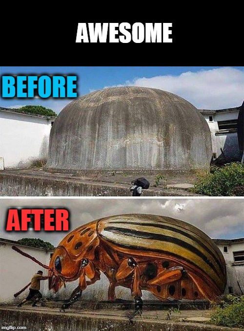 AWESOME; BEFORE; AFTER | image tagged in artwork,beetle | made w/ Imgflip meme maker