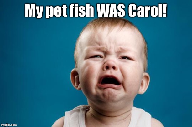 BABY CRYING | My pet fish WAS Carol! | image tagged in baby crying | made w/ Imgflip meme maker