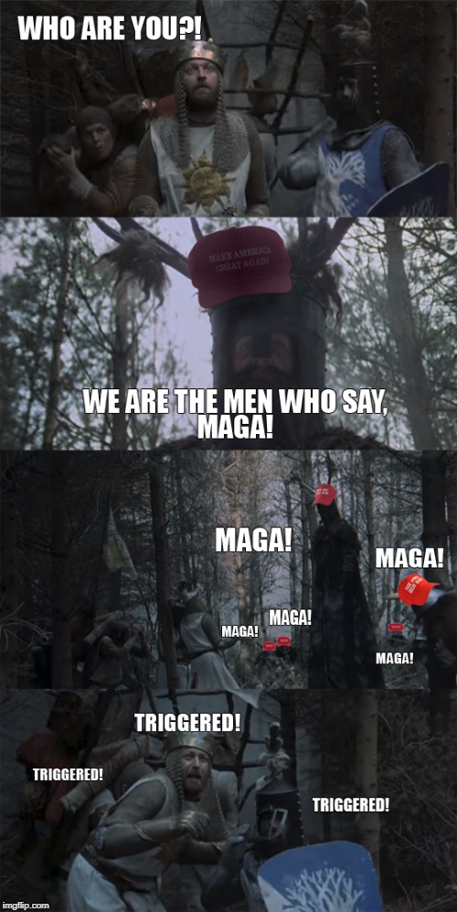 The men who SAY | image tagged in monty python,monty python and the holy grail,maga,maga hat,funny memes,political meme | made w/ Imgflip meme maker