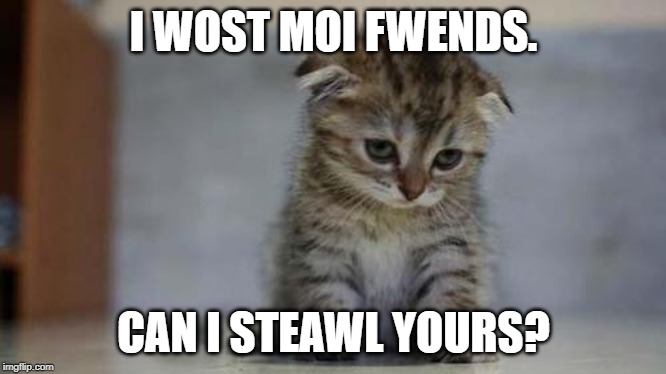 Sad kitten | I WOST MOI FWENDS. CAN I STEAWL YOURS? | image tagged in sad kitten | made w/ Imgflip meme maker