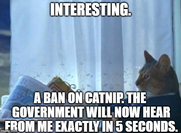 Cat newspaper | INTERESTING. A BAN ON CATNIP. THE GOVERNMENT WILL NOW HEAR FROM ME EXACTLY IN 5 SECONDS. | image tagged in cat newspaper | made w/ Imgflip meme maker