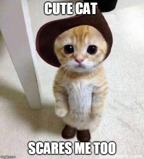 Cute Cat | CUTE CAT; SCARES ME TOO | image tagged in cute cat | made w/ Imgflip meme maker