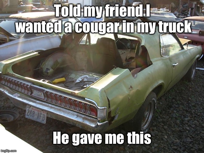 Told my friend I wanted a cougar in my truck He gave me this | made w/ Imgflip meme maker