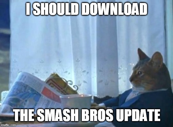 Cat newspaper | I SHOULD DOWNLOAD; THE SMASH BROS UPDATE | image tagged in cat newspaper | made w/ Imgflip meme maker